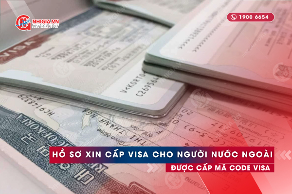 Hồ sơ xin cấp visa cho người được cấp code visa