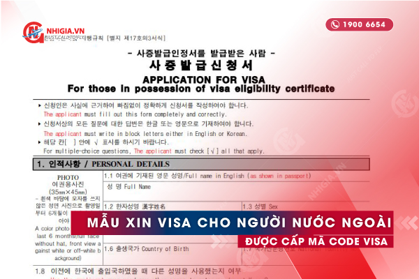 Mẫu xin visa cho người đã được cấp visa code